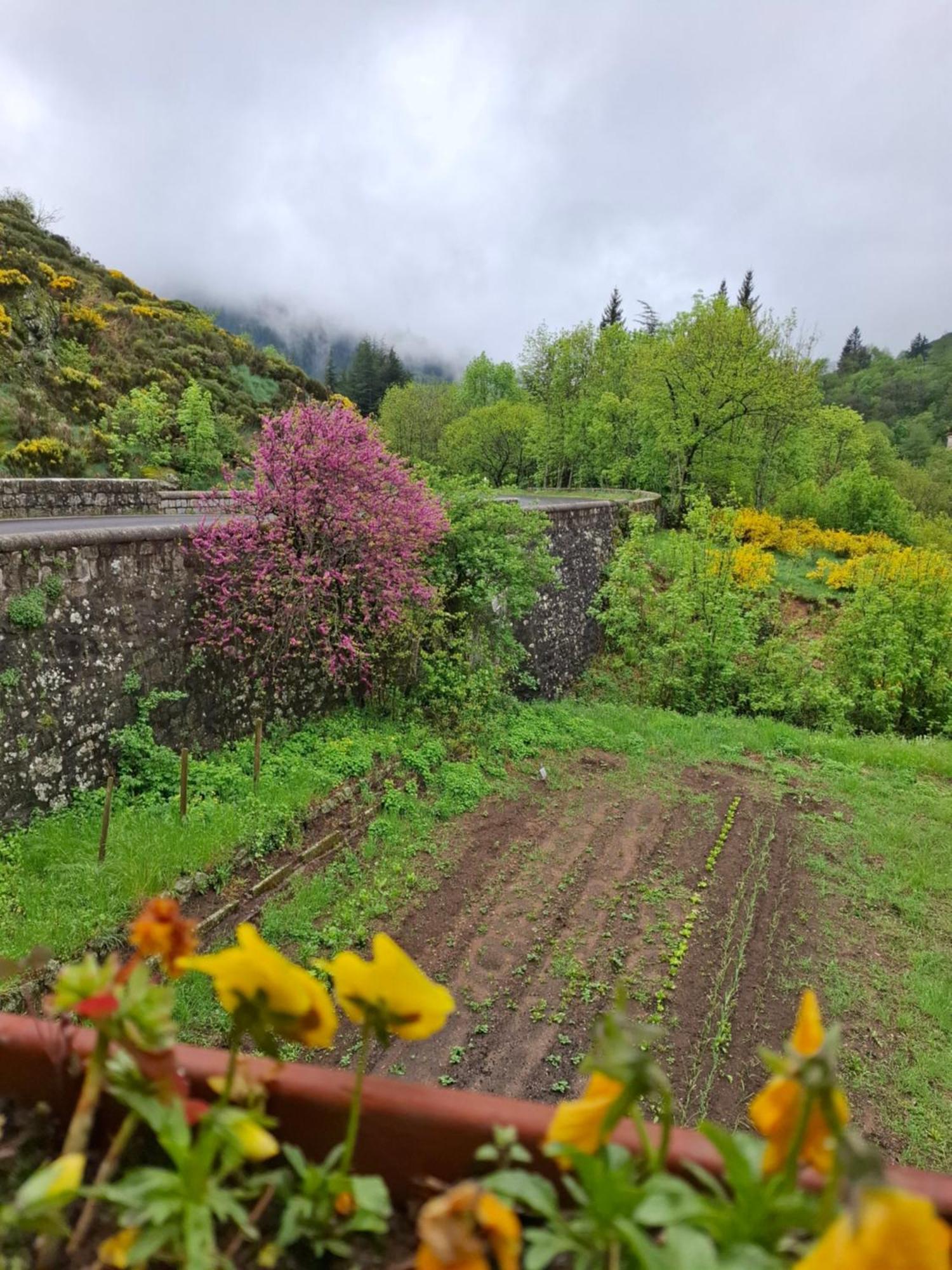 Auberge Arthea Laviolle Екстериор снимка